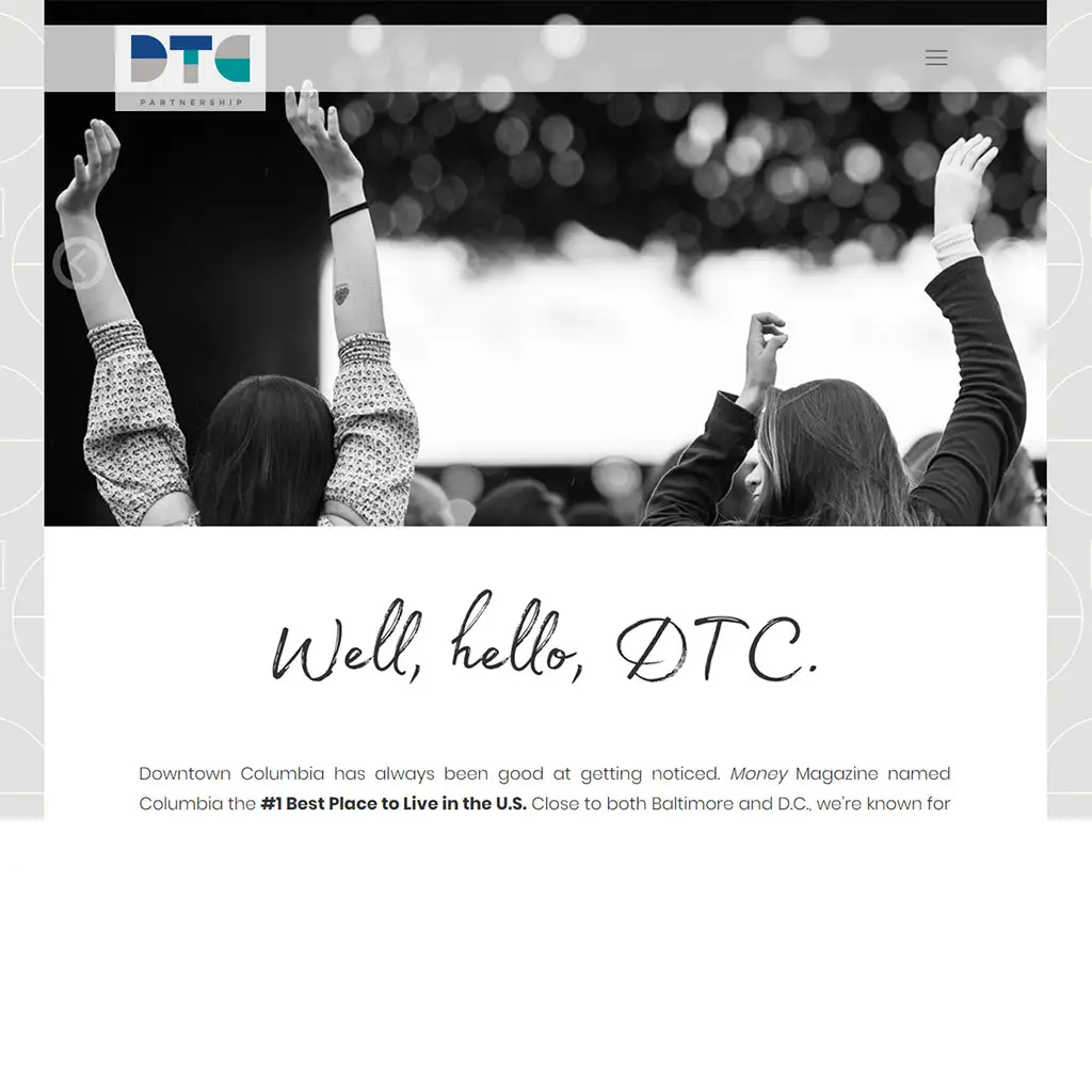 DTC Partnership website screenshot