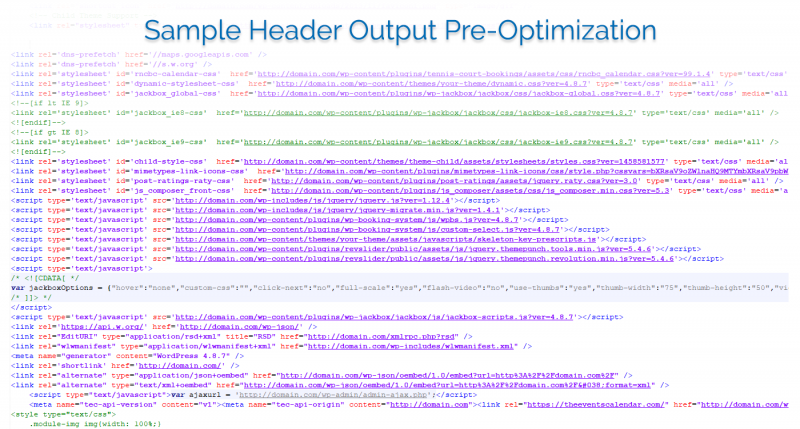 Plugin header styles and JavaScript before optimization