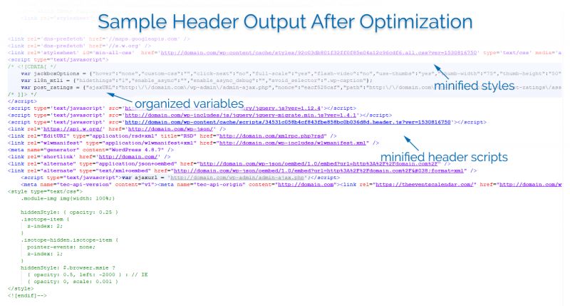 Plugin header styles and JavaScript after optimization