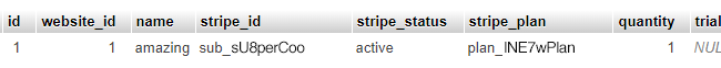 Database tables after Stripe's create webhook