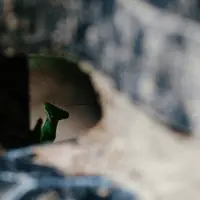 Magento 2.4.7 order status bug