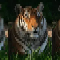 A conceptual diagram showing the evolution of an HTML image from a layout-shifting wireframe to a smooth, lazy-loaded responsive asset.